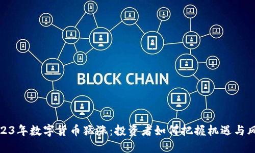 2023年数字货币猛涨：投资者如何把握机遇与风险