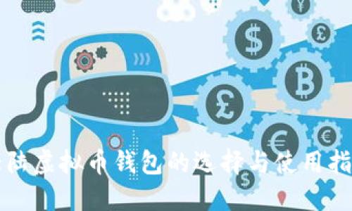 大陆虚拟币钱包的选择与使用指南