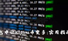 如何在TP钱包中让Kishu币变多：实用指南与投资技