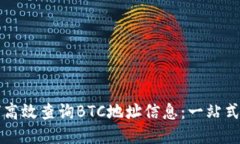 如何高效查询BTC地址信息：一站式指南