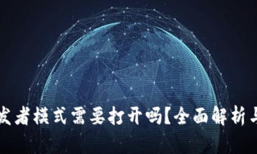 TP钱包开发者模式需要打开吗？全面解析与使用指南