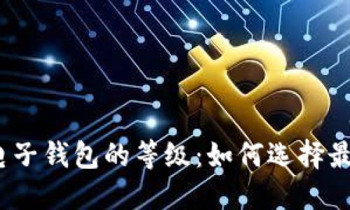 探索数字货币电子钱包的等级：如何选择最适合你的钱包?