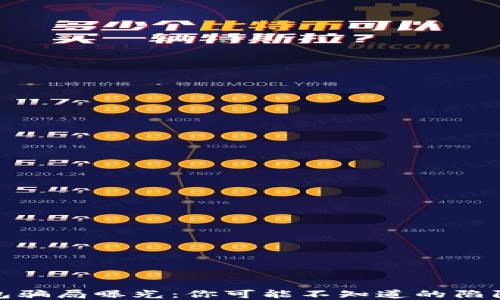 
数字货币钱包骗局曝光：你可能不知道的陷阱与防范技巧