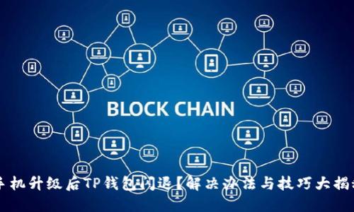 手机升级后TP钱包闪退？解决办法与技巧大揭秘