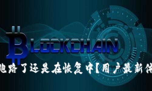 GoPay钱包是跑路了还是在恢复中？用户最新体验分享与分析