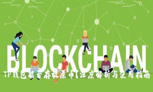 TP钱包能否存放屎币？深度解析与使用指南