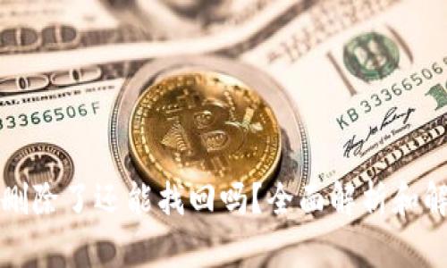 TP钱包删除了还能找回吗？全面解析和解决方案