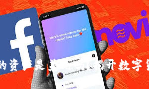 TP钱包中的资产是美元吗？揭开数字货币的真相