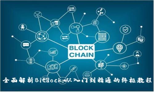 全面解析Bitdock：从入门到精通的终极教程