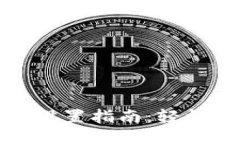 狐狸钱包语言设置指南：轻松切换多种语言