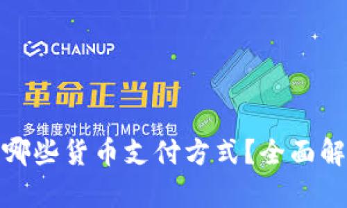 加密钱包支持哪些货币支付方式？全面解析与最新动态