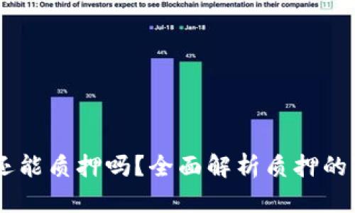 TP钱包NB币还能质押吗？全面解析质押的可能性与前景