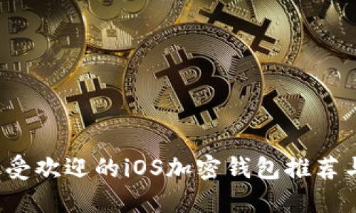 2023年最受欢迎的iOS加密钱包推荐与使用指南