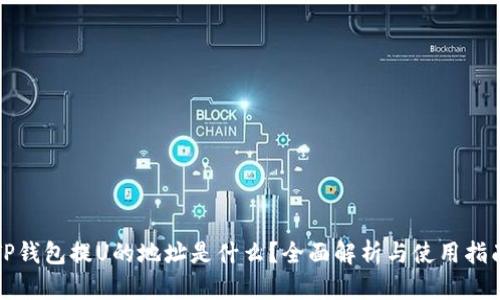 TP钱包提U的地址是什么？全面解析与使用指南