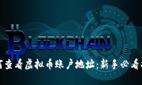 如何查看虚拟币账户地址：新手必看指南