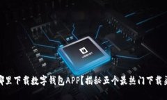 在哪里下载数字钱包APP？揭秘五个最热门下载渠