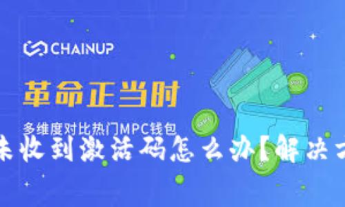 TP钱包付费后未收到激活码怎么办？解决方案及注意事项