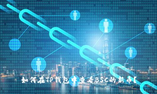 如何在TP钱包中查看BSC的新币？