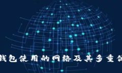 TP钱包使用的网络及其多重优势