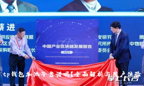 tp钱包加池子靠谱吗？全面解析与用户体验