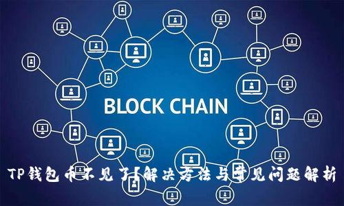TP钱包币不见了？解决方法与常见问题解析