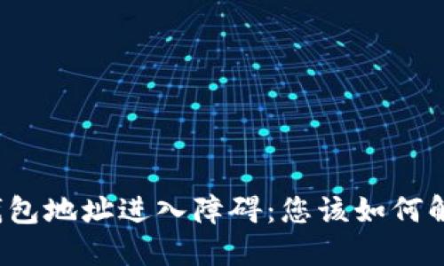 TP钱包地址进入障碍：您该如何解决？