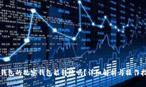 TP钱包的观察钱包能转账吗？详细解析与操作指南