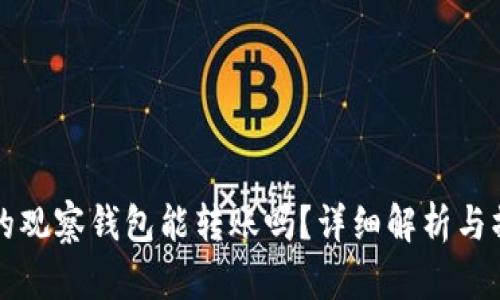 TP钱包的观察钱包能转账吗？详细解析与操作指南