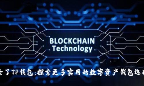 除了TP钱包：探索更多实用的数字资产钱包选择