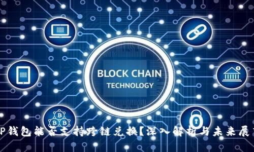 TP钱包能否支持跨链兑换？深入解析与未来展望