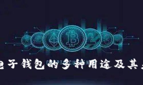 区块链电子钱包的多种用途及其未来发展