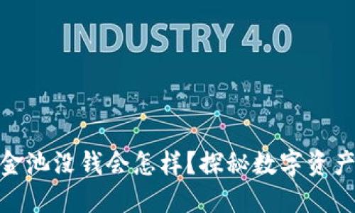 TP钱包流动资金池没钱会怎样？探秘数字资产的风险与机遇