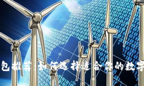 虚拟币钱包推荐：如何选择适合你的数字货币钱包