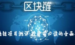 区块链项目测评：投资前必读的全面指南