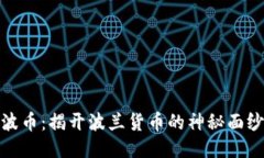 波币：揭开波兰货币的神秘面纱