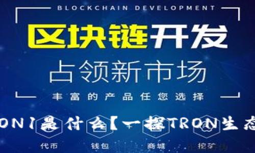 TP钱包中TRON1是什么？一探TRON生态系统的魅力