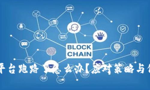 虚拟币平台跑路了怎么办？应对策略与保障指南