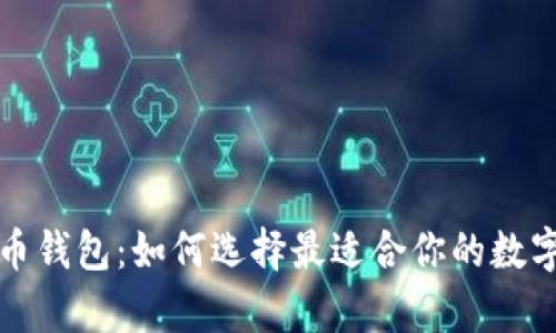 全面解析虚拟币钱包：如何选择最适合你的数字资产管理工具