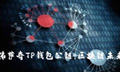 深入解析佛萨奇TP钱包公链：区块链未来的新选择
