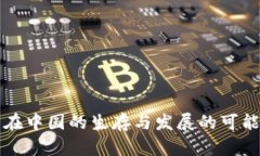 TP钱包在中国的生存与发展的可能性分析