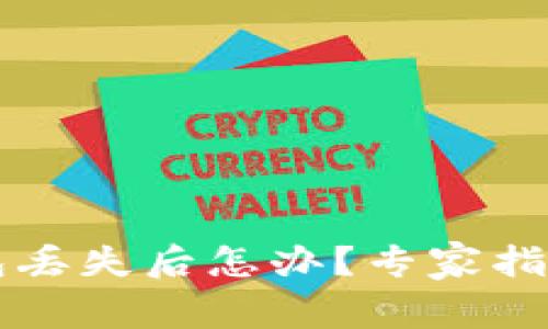 区块链冷钱包丢失后怎办？专家指南与解决方案