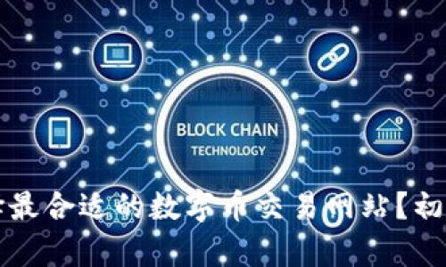 如何选择最合适的数字币交易网站？初学者指南