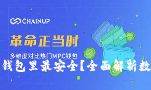 加密货币放哪个钱包里最安全？全面解析数字资产存储选择