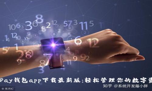 KDPay钱包app下载最新版：轻松管理你的数字资产