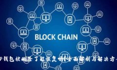 TP钱包被删除了能恢复吗？全面解析与解决方案