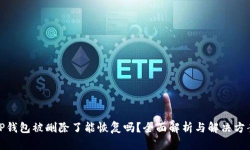 TP钱包被删除了能恢复吗？全面解析与解决方案
