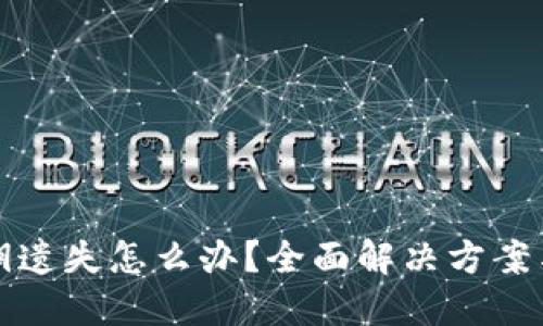 TP钱包私钥遗失怎么办？全面解决方案与安全指南