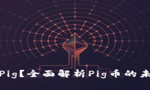 什么是虚拟币Pig？全面解析Pig币的未来与投资价值
