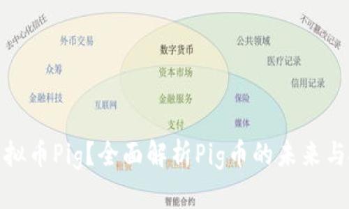 什么是虚拟币Pig？全面解析Pig币的未来与投资价值