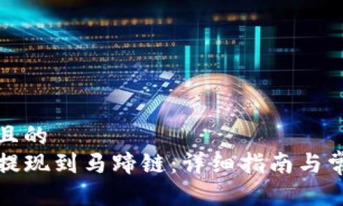 思考一个并且的  
TP钱包如何提现到马蹄链：详细指南与常见问题解答